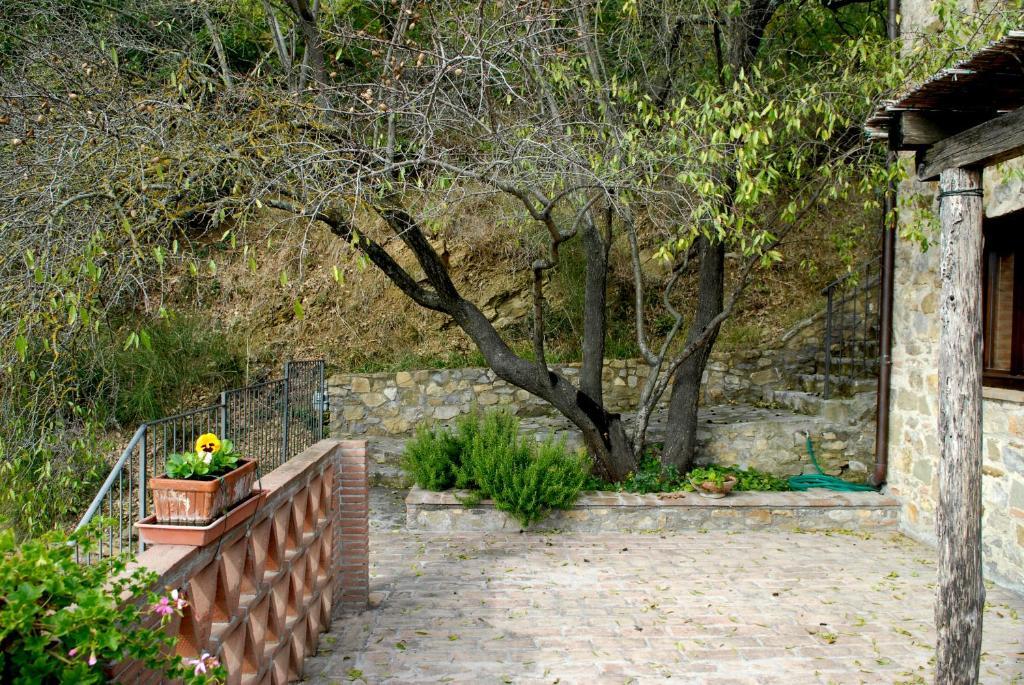 Podere Monte Petreto San Savino  Oda fotoğraf