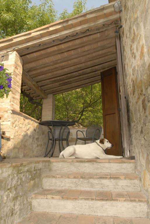 Podere Monte Petreto San Savino  Oda fotoğraf