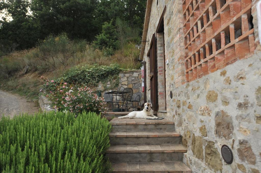 Podere Monte Petreto San Savino  Oda fotoğraf