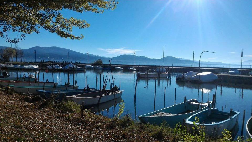 Podere Monte Petreto San Savino  Dış mekan fotoğraf